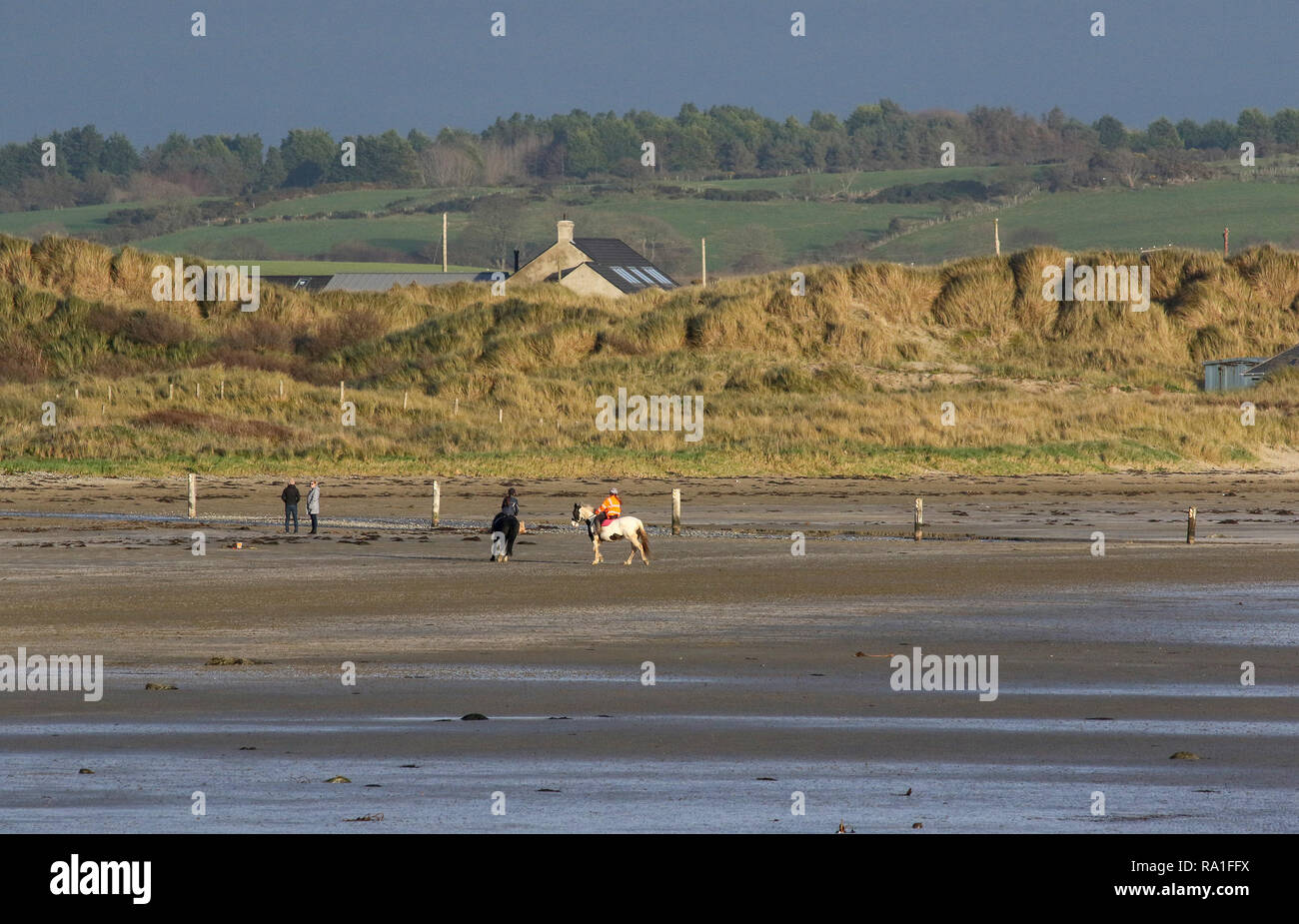 County Down Küste in der Nähe von Ballykinler, Nordirland. 30. Dezember 2018. UK Wetter - einen schönen sonnigen Nachmittag an der Ostküste von Nordirland. Quelle: David Hunter/Alamy Leben Nachrichten. Stockfoto