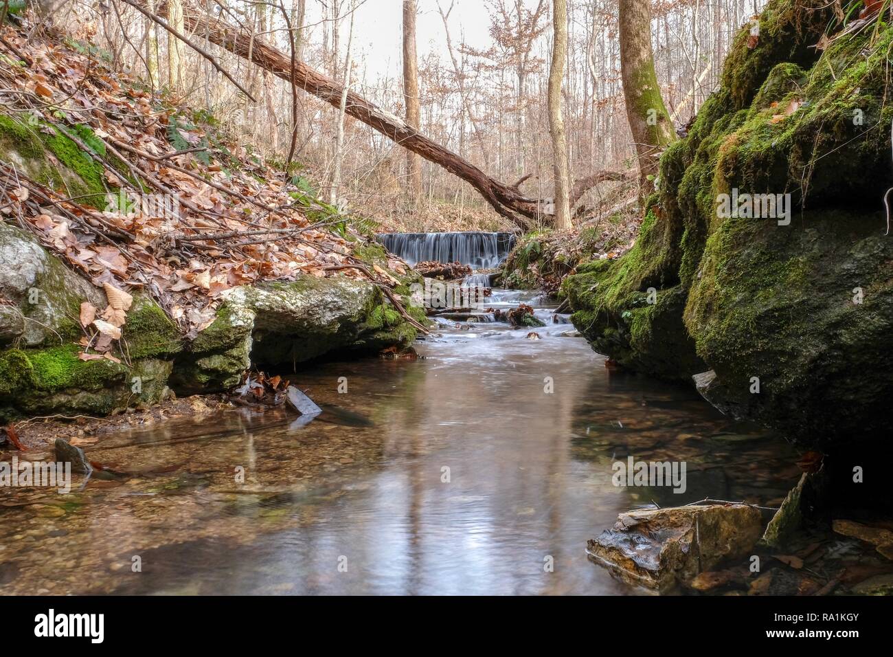 Anzeigen eines entfernten Wasserfall aus zwischen dem Moos bedeckt Steine im Wald in Belvidere, Tennessee. Stockfoto