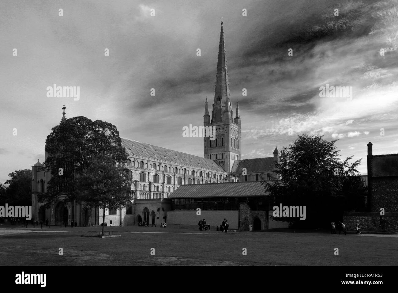 Sommer-Ansicht von Norwich Cathedral, Norwich City, Norfolk County, England, UK Stockfoto