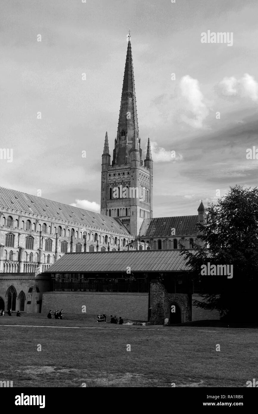 Sommer-Ansicht von Norwich Cathedral, Norwich City, Norfolk County, England, UK Stockfoto
