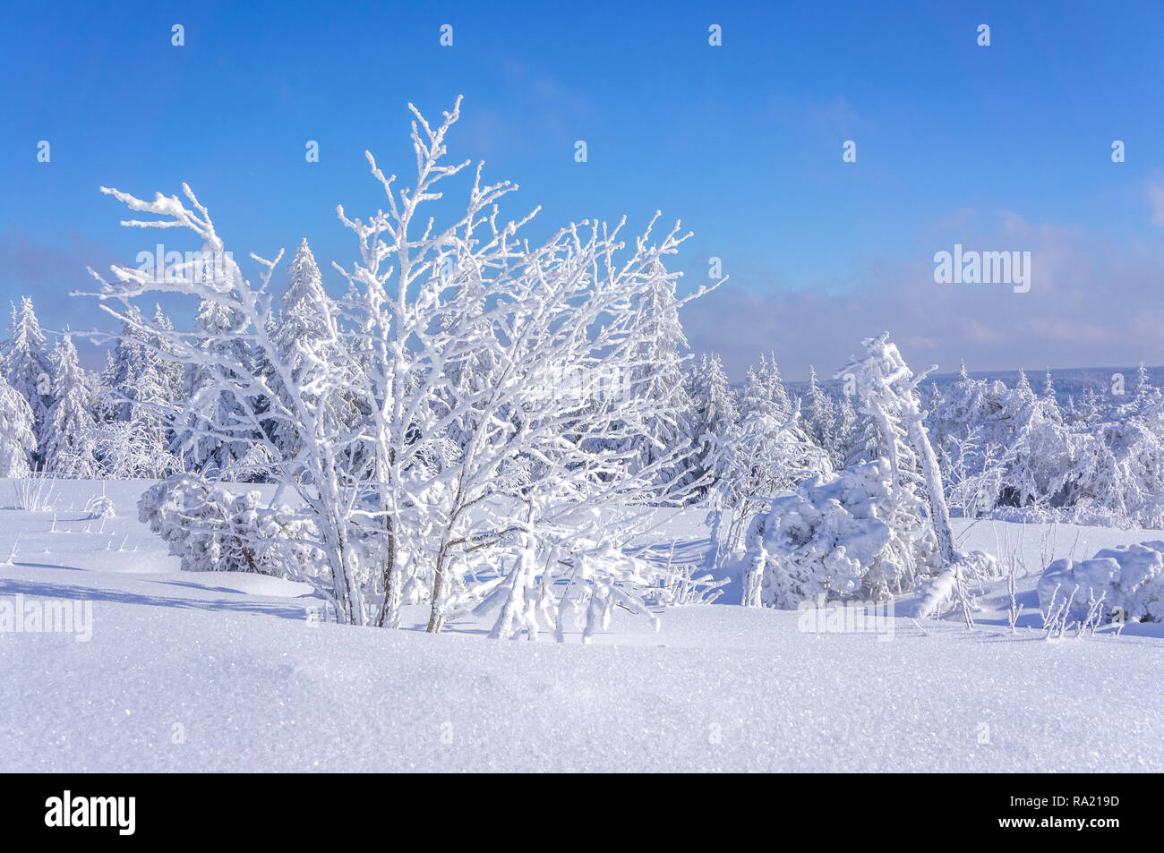 Fichtelberg, Erzgebirge, Deutschland Stockfoto