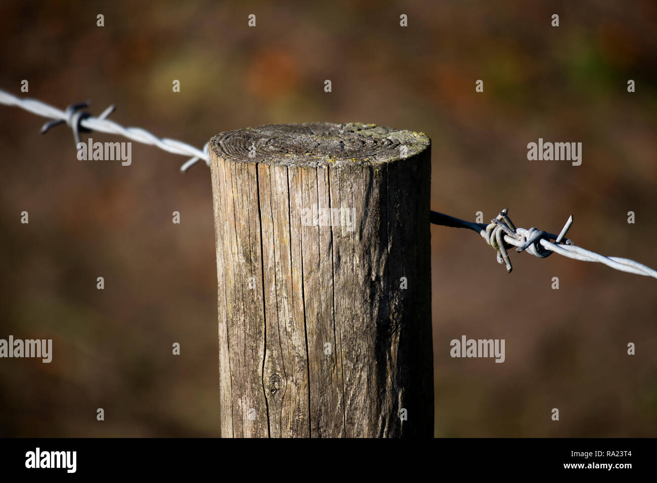 Kabelgebundene Stacheldraht zaun gesichert, um die Sicherheit in den ländlichen Hampshire zu Ackerland post Stockfoto