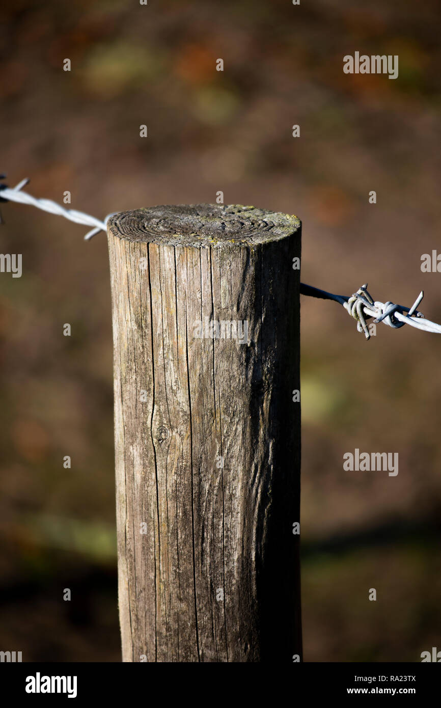 Kabelgebundene Stacheldraht zaun gesichert, um die Sicherheit in den ländlichen Hampshire zu Ackerland post Stockfoto