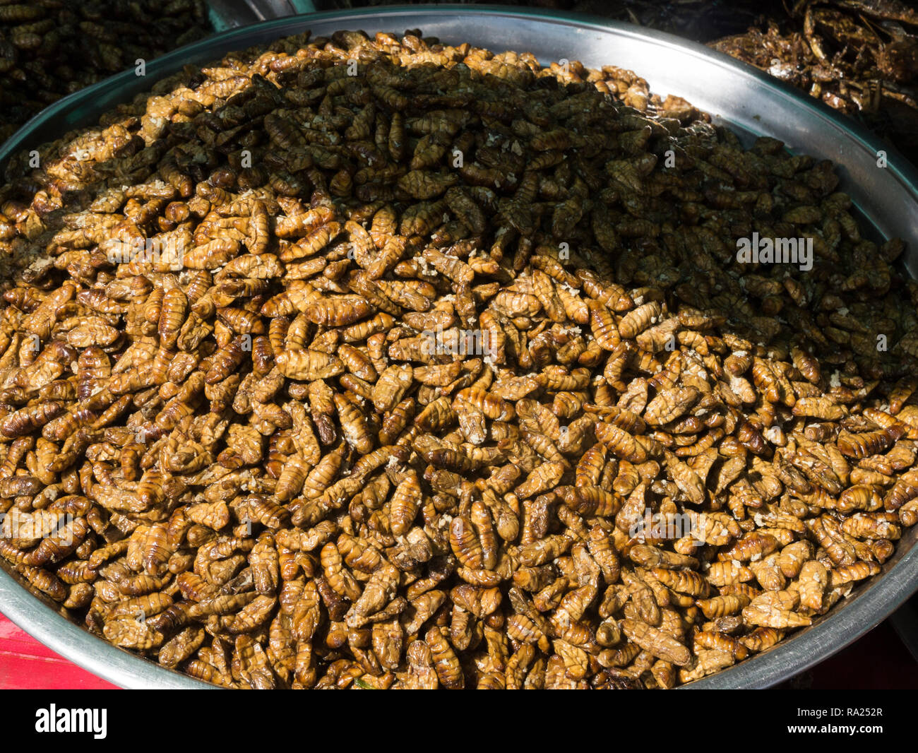 Platte von frittierte Seidenraupe Maden zum Verkauf in Skuon Town Market international bekannte Markt Kambodscha Asien auch als Spider Dorf bekannt Stockfoto