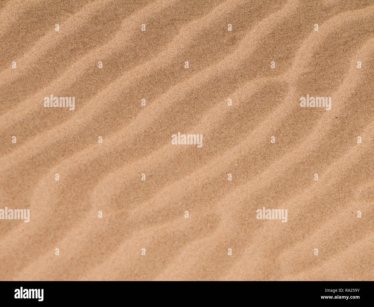 Golden Sand Textur und Muster Stockfoto