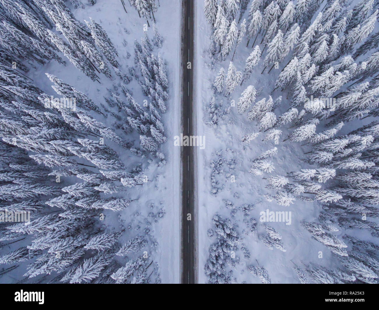 Antenne drone Ansicht von der Straße in eine idyllische Winterlandschaft. Straße durch die Natur läuft aus der Vogelperspektive. Stockfoto