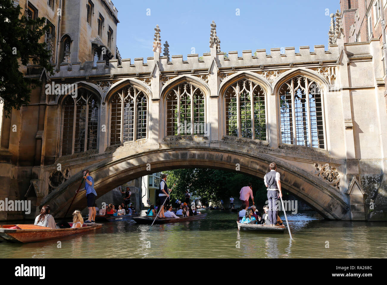 Stochern Cambridge England Stockfoto