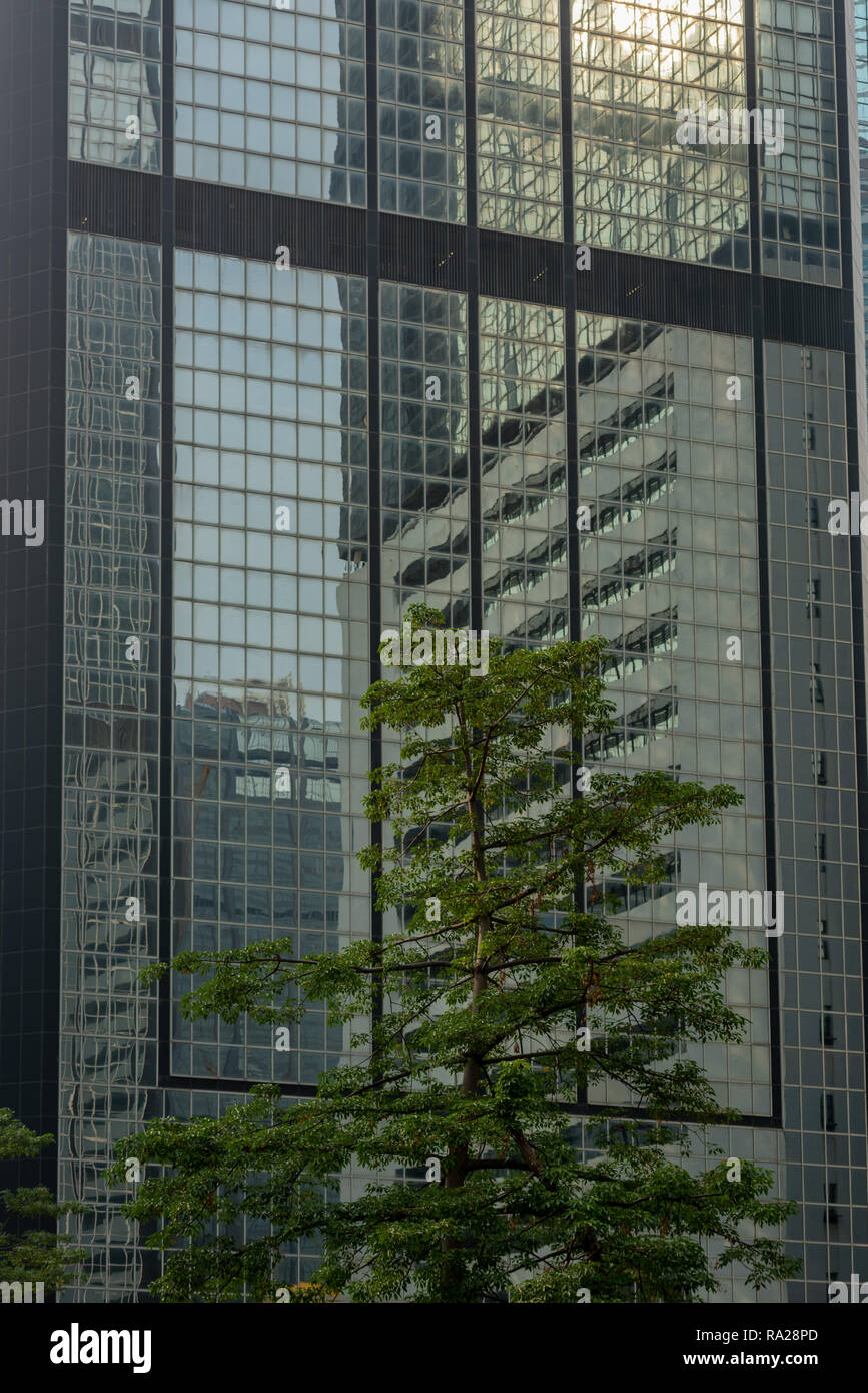 Bürotürme in die unzähligen Fenster eines Hong Kong Wolkenkratzer hoch über einen einsamen Blick der Natur wider Stockfoto