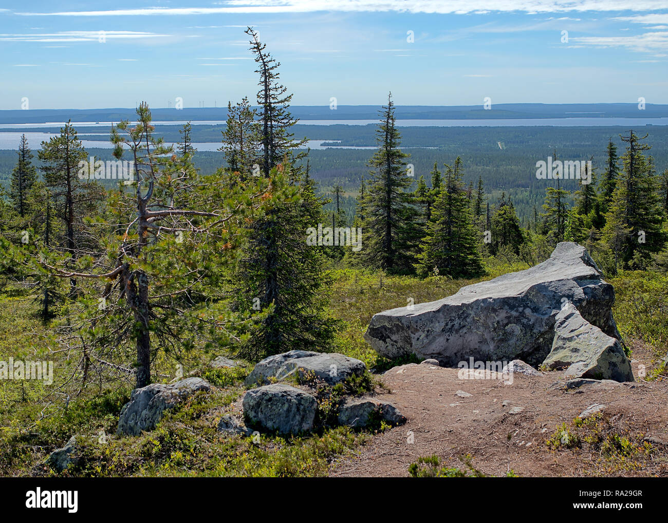 Sommer Landschaft mit Fichten in der Wüste Riisitunturi Nationalpark, einem Berg in Lappland in Finnland. Große Steine auf der Vorder- und Stockfoto