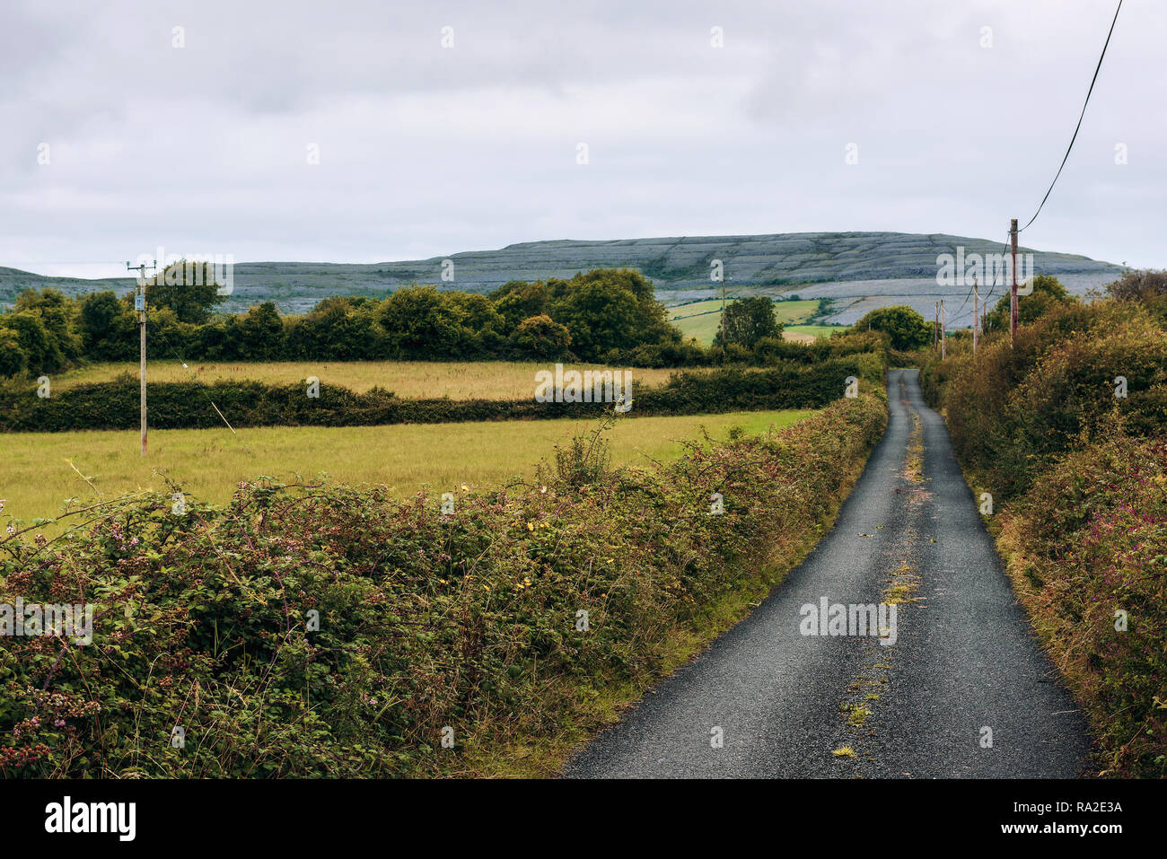 Leere Straße durch den Burren in Irland Stockfoto