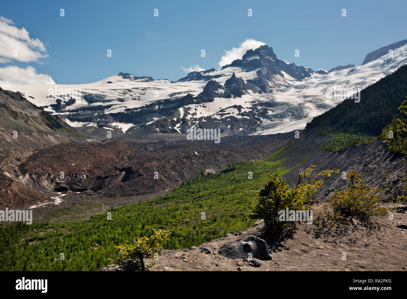 WA 15620-00 ... WASHINGTON - wenig Tahoma und die terminous der Emmons Glacier die Emmons Moränenweg im White River Gebiet des Mount Stockfoto