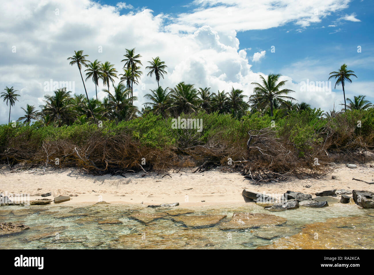 Karibik Strand mit Rock Steine, Sand und Palmen. Johnny Cay, die Insel San Andrés, Kolumbien. Okt 2018 Stockfoto