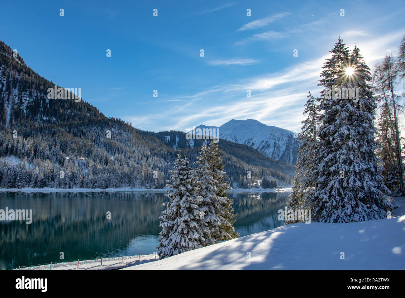 Die aufgehende Sonne schien durch die Kiefern auf See Davos, Schweiz Stockfoto