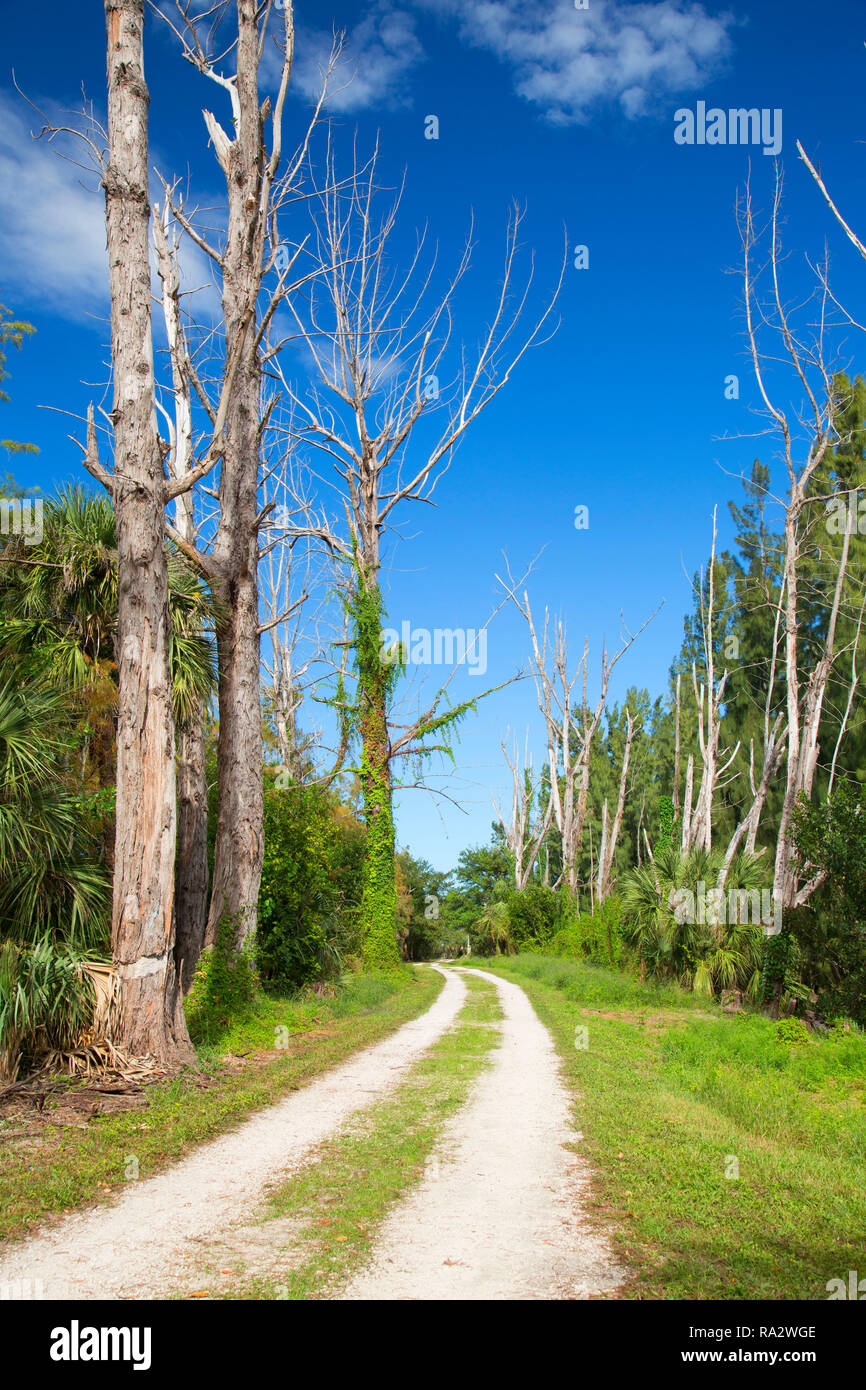 Owahee Trail, Grasbewachsenen Gewässer erhalten, West Palm Beach, Florida Stockfoto