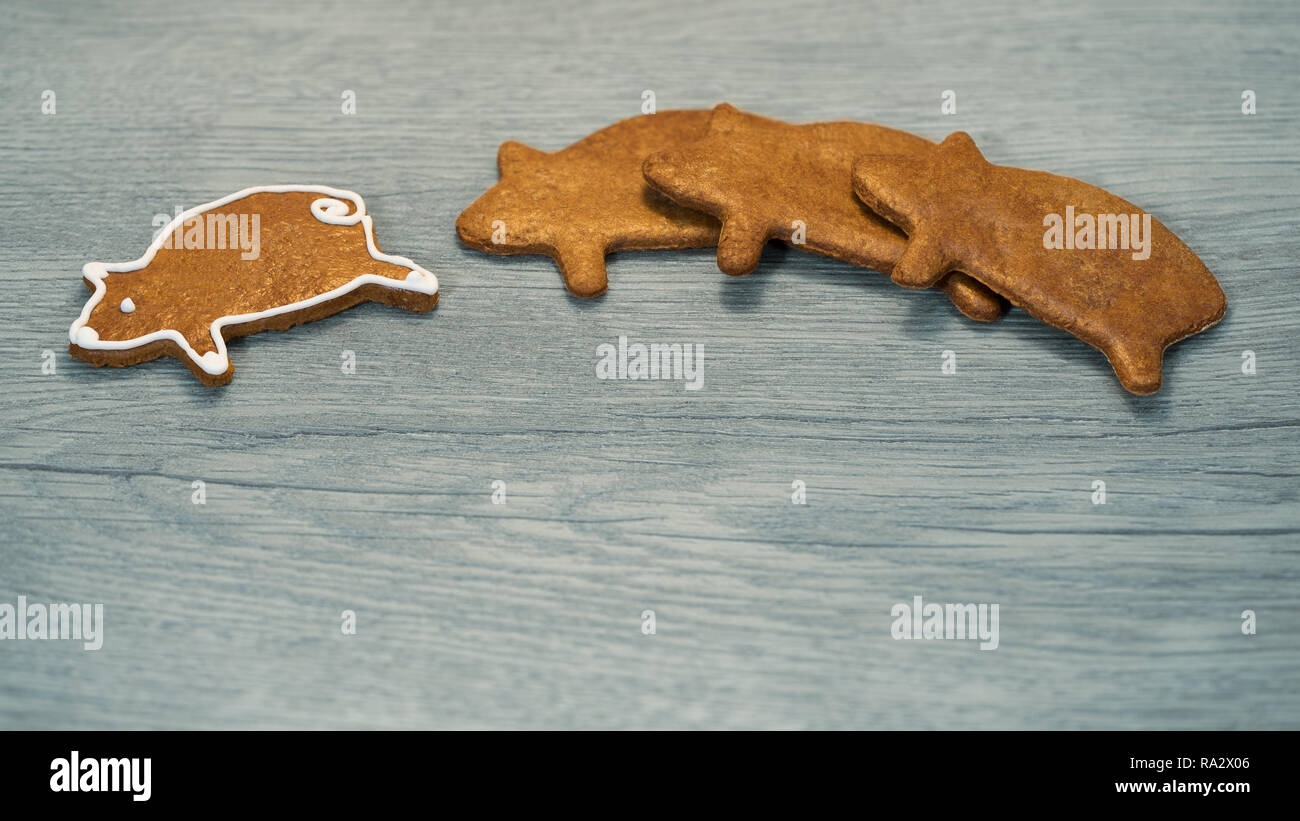 Duftende Lebkuchen piggy für Glück auf Holz Hintergrund. Schwein geformte Plätzchen mit einem einzelnen unabhängigen Führer. Konzept der Erfolg, Führung. Stockfoto