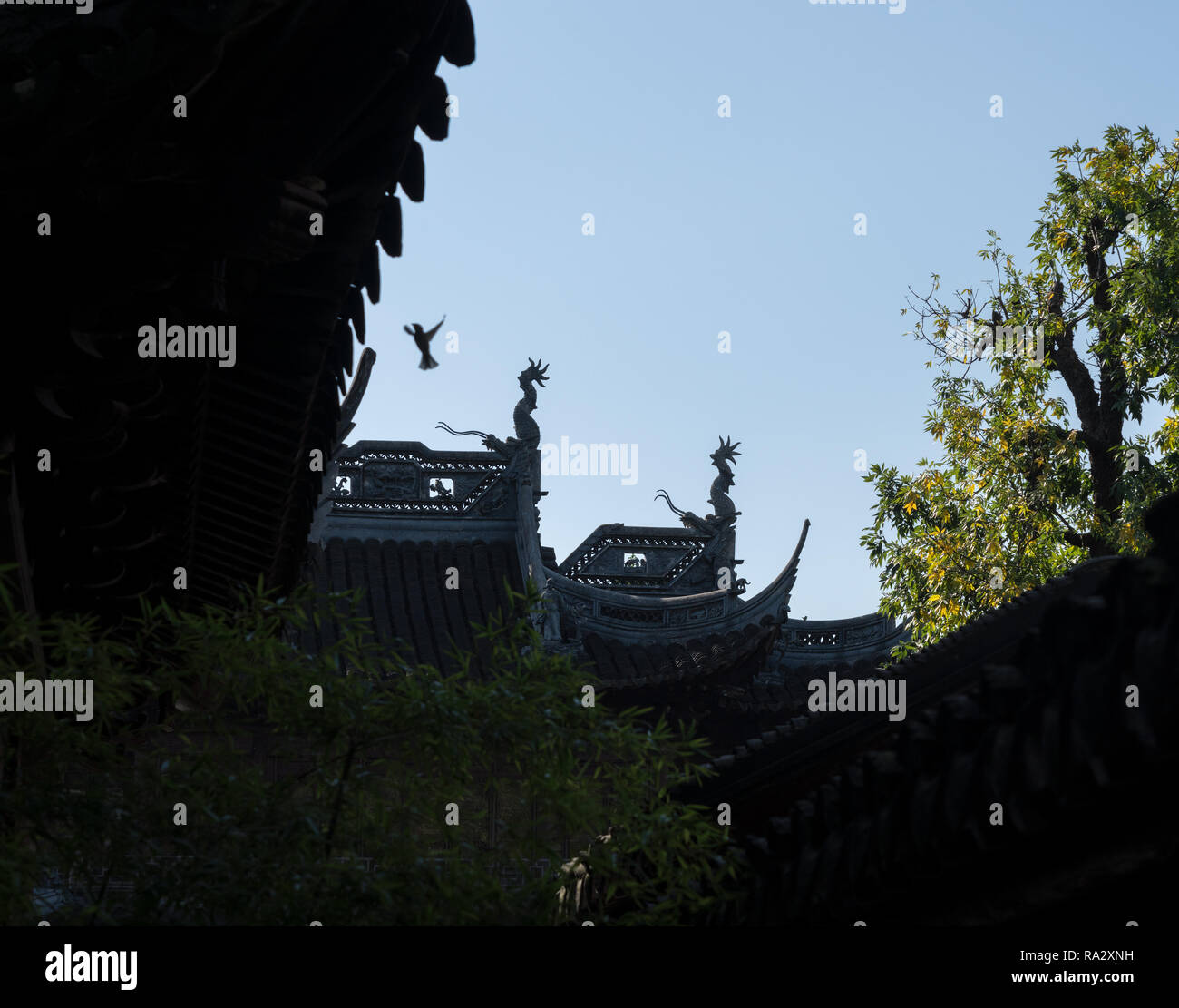 Detail der Drache in Yuyuan oder Yu Garten in Shanghai. Stockfoto
