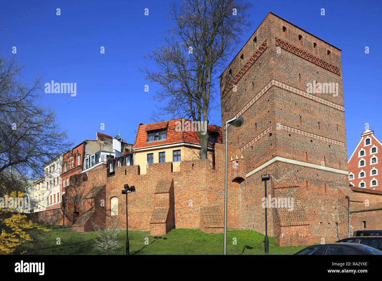 Polska - Großpolen - Torun - Mury obronne ich Krzywa Wieza Polen - Großpolen - Torun - Verteidigung Mauern der Altstadt und Schiefen Turm Stockfoto