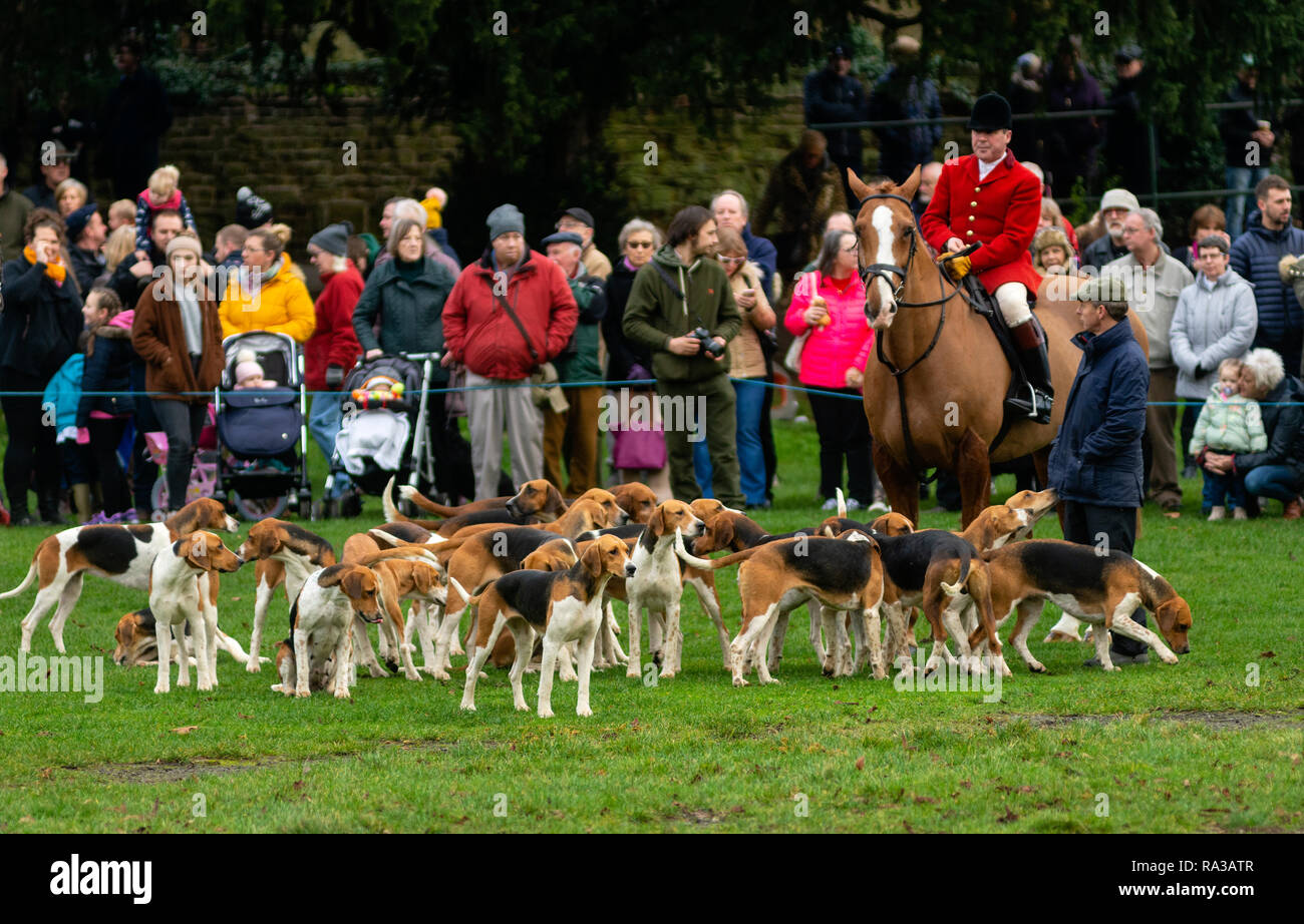 Melton Mowbray, Leicestershire, UK. 1. Jan 2019. Die cottesmore Jagd - einer von Englands Premier jagt in 1696 gegründet und hat seinen Namen von dem Leicestershire Dorf Quorn, Jagdhunde kenneled zwischen 1753 bis 1 904 startet von Melton Mowbray Stadt Immobilien Park und das Grundstück. Belvoir Jagd treffen bei Spielen in der Nähe Park Credit: Clifford Norton/Alamy leben Nachrichten Stockfoto