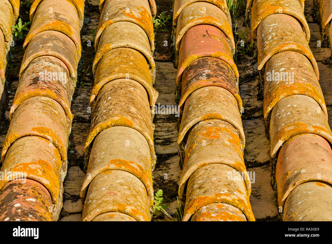 Spanische DACHZIEGEL ABGEDECKT MIT gelben Flechten Stockfoto