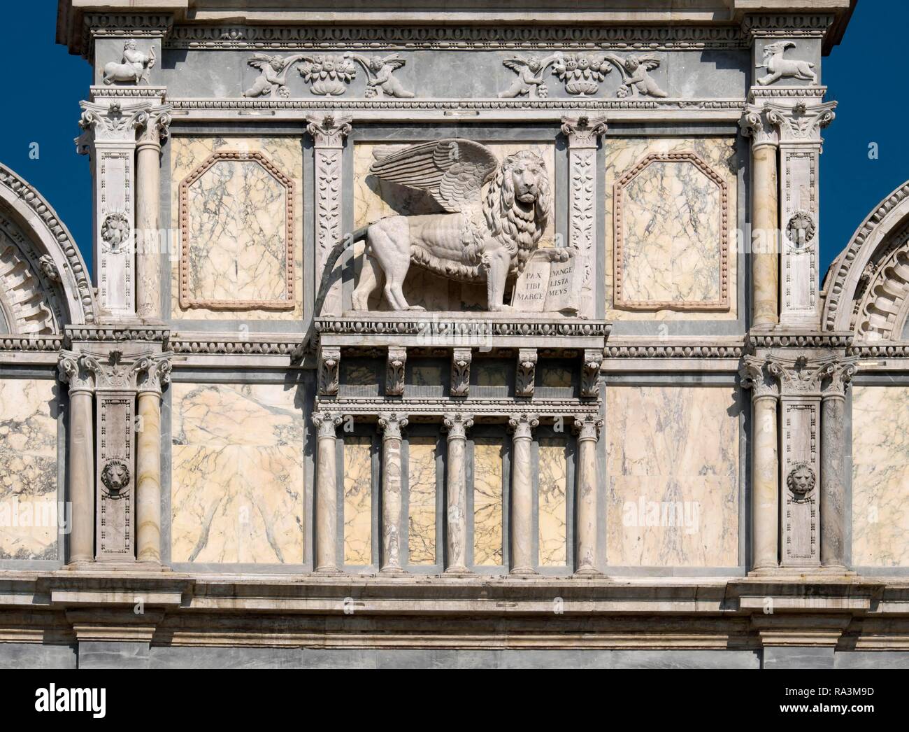 Venezianischen Löwen auf der Fassade, Scuola Grande di San Marco, Venedig, Venetien, Italien Stockfoto