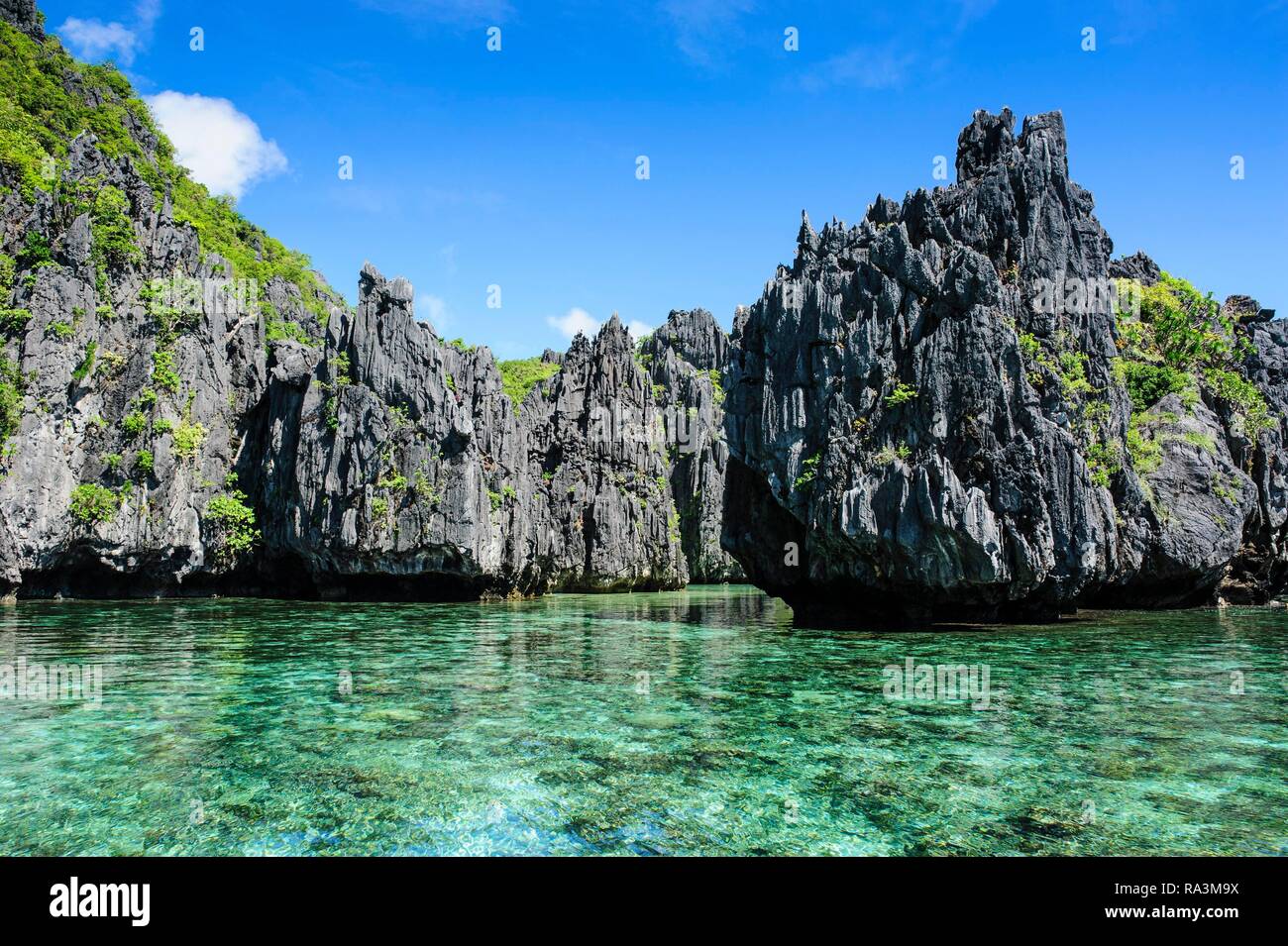 Kristallklares Wasser mit Kalksteinen, Bacuit Archipel, El Nido, Palawan, Philippinen Stockfoto
