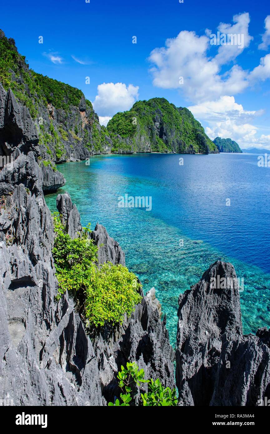Küste mit kristallklarem Wasser und Kalksteine, Bacuit Archipel, El Nido, Palawan, Philippinen Stockfoto