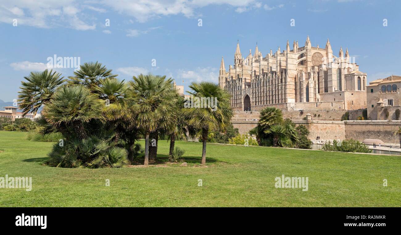 Kathedrale La Seu, Palma de Mallorca, Spanien Stockfoto