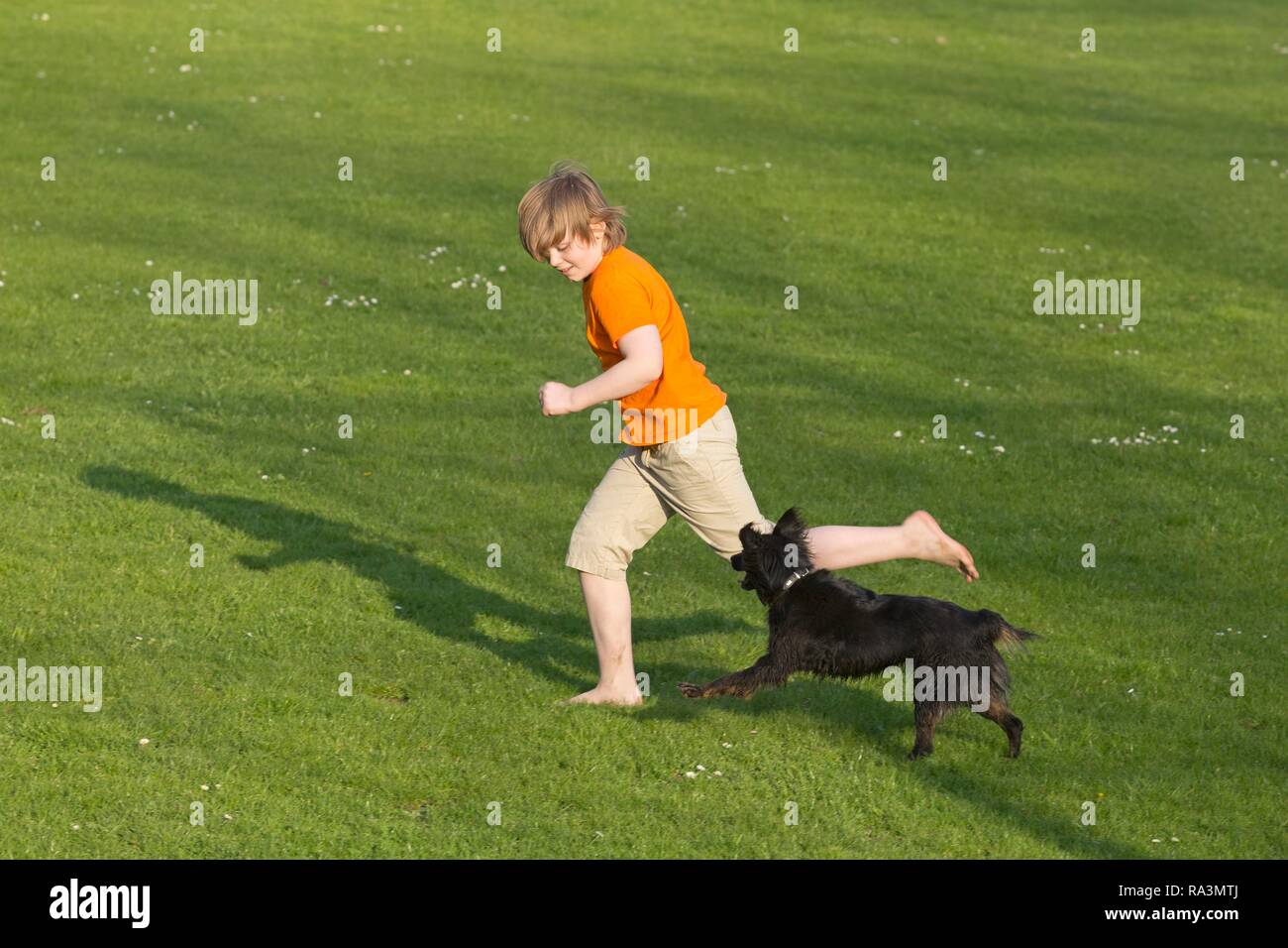 Junge läuft mit Hund über einer Wiese Stockfoto