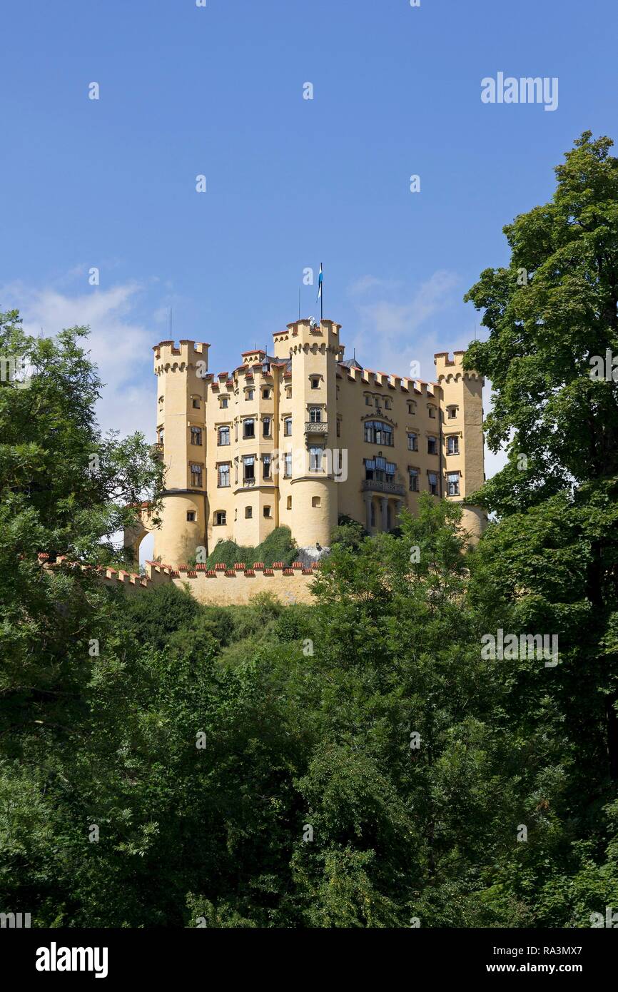 Schloss Hohenschwangau, Hoheschwangau, Allgäu, Bayern, Deutschland Stockfoto
