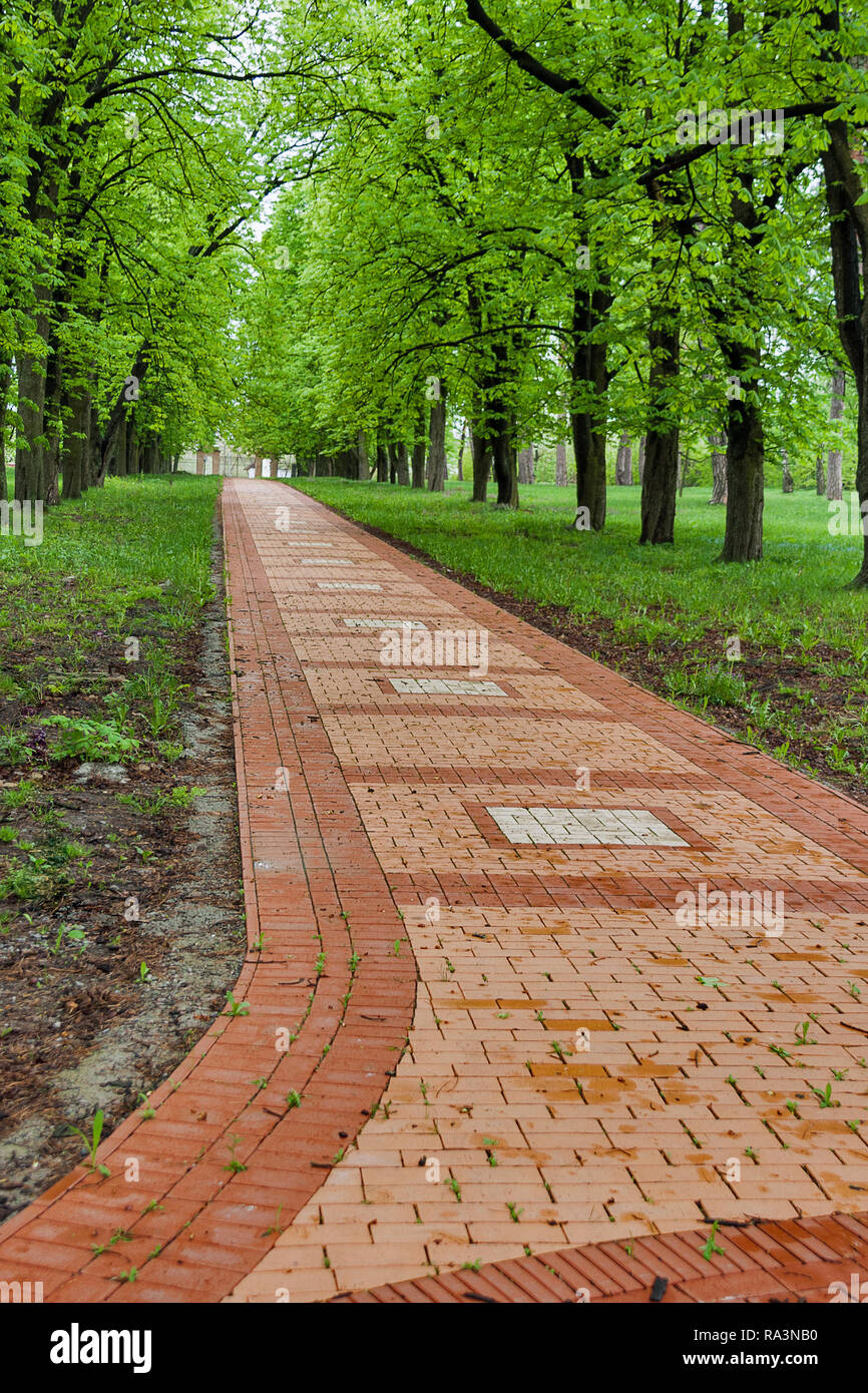Stein Pflasterung in der Engelhardt Immobilien Garten. Engelhardt war Gutsbesitzer von jungen berühmten ukrainischen Dichter Taras Schewtschenko in Kirillivka oder Shevchenkove, Stockfoto