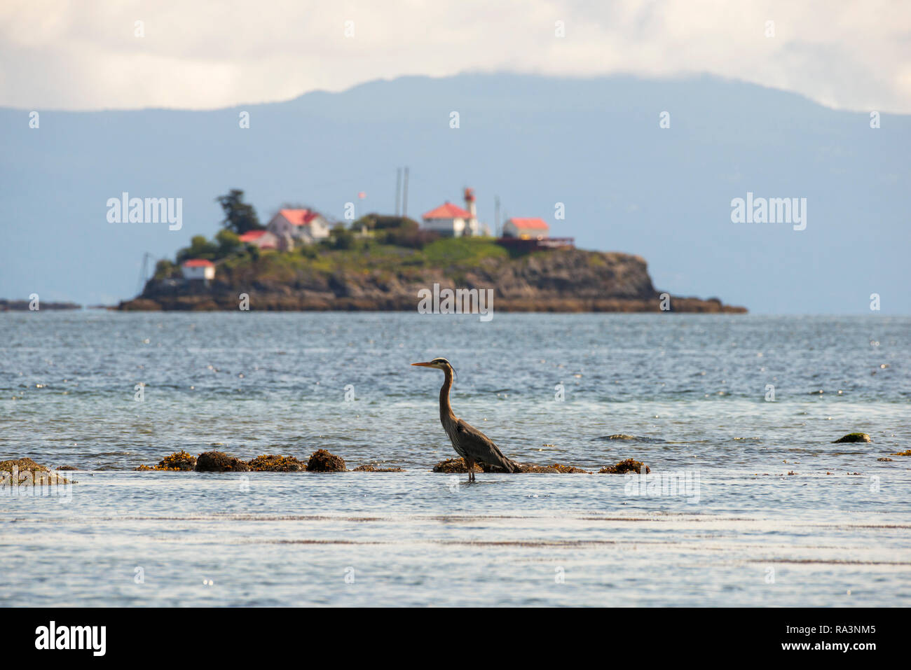 Chrom Insel aus Vancouver Island gesehen. Stockfoto