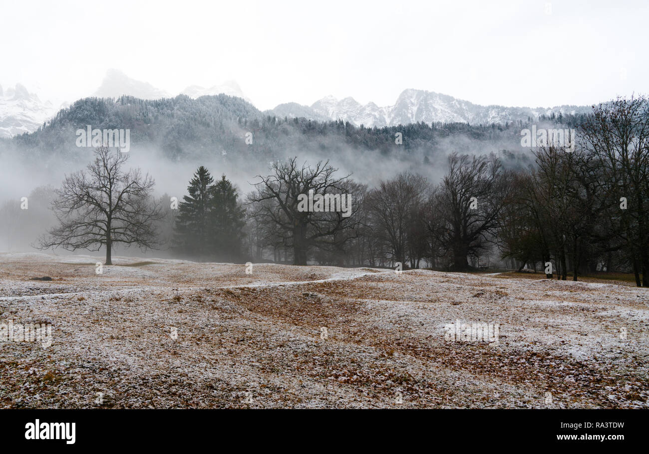 Winter Wald- und Berglandschaft in schlechtes Wetter mit Nebel und Reim auf den Boden Stockfoto