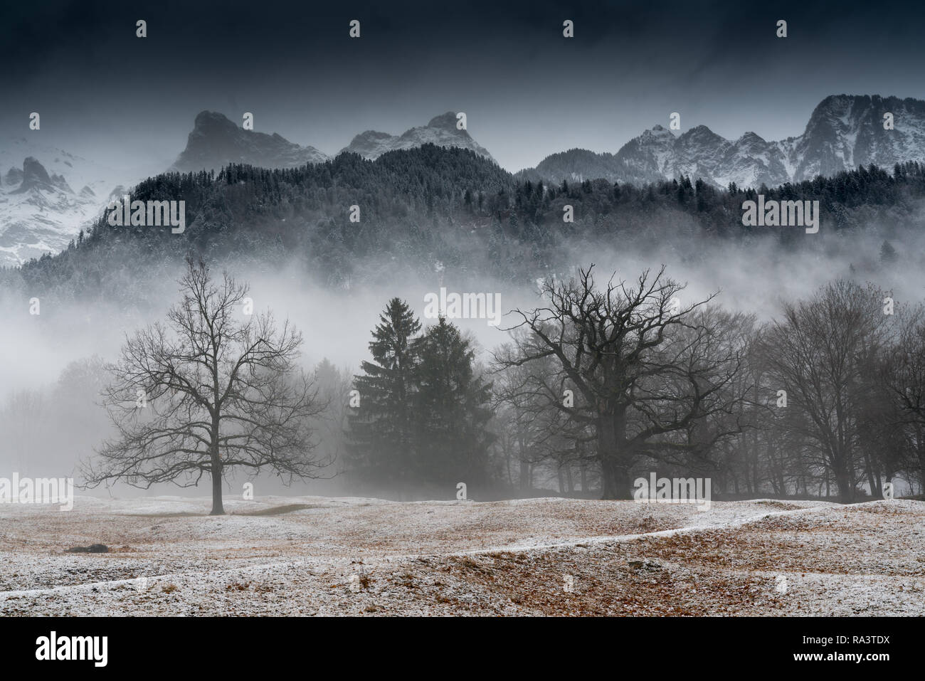 Winter Wald- und Berglandschaft in schlechtes Wetter mit Nebel und Reim auf den Boden Stockfoto