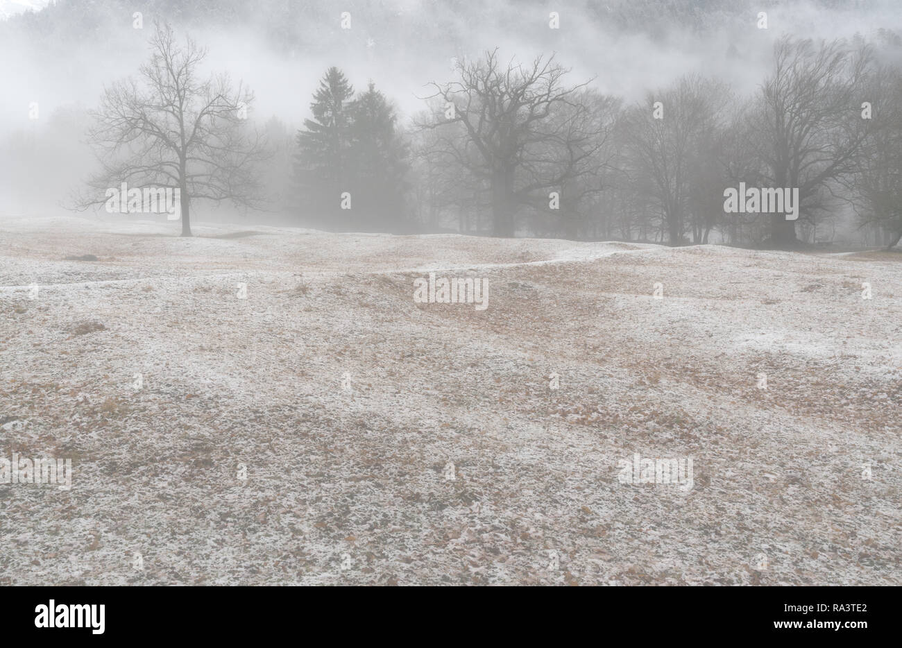 Winter Wald- und Berglandschaft in schlechtes Wetter mit Nebel und Reim auf den Boden Stockfoto