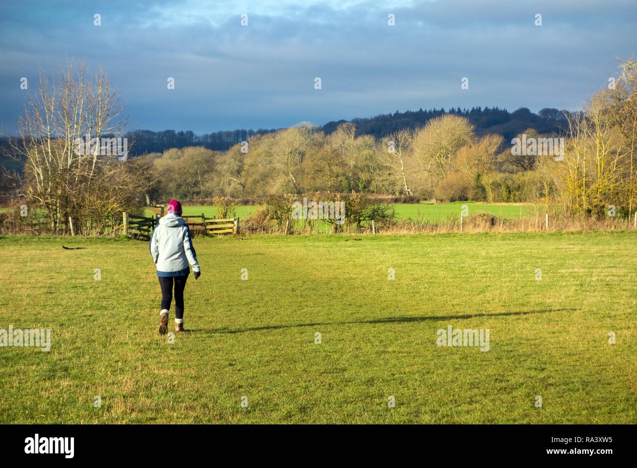 Frau entlang des Herzens von England, einem 100 km langen Wanderweg von Cannock Chase in den englischen Cotswolds mit dramatische Beleuchtung Stockfoto