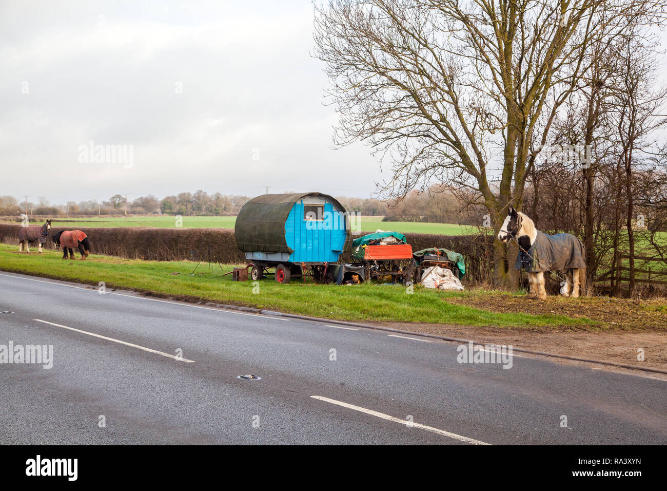 Reisende leben in einer traditionellen Art von Pferden gezogene Roma Gypsy Caravan gestoppt auf das Gras kurz an der Seite der Straße für ihre Pferde weiden zu lassen Stockfoto