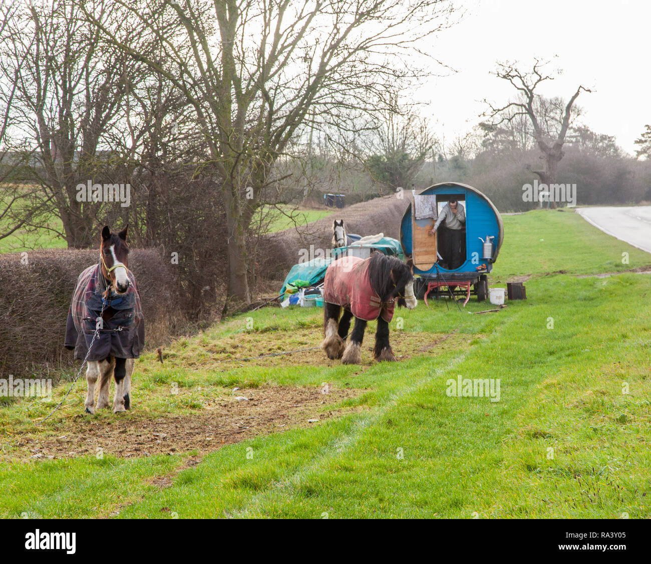 Reisende leben in einer traditionellen Art von Pferden gezogene Roma Gypsy Caravan gestoppt auf das Gras kurz an der Seite der Straße für ihre Pferde weiden zu lassen Stockfoto