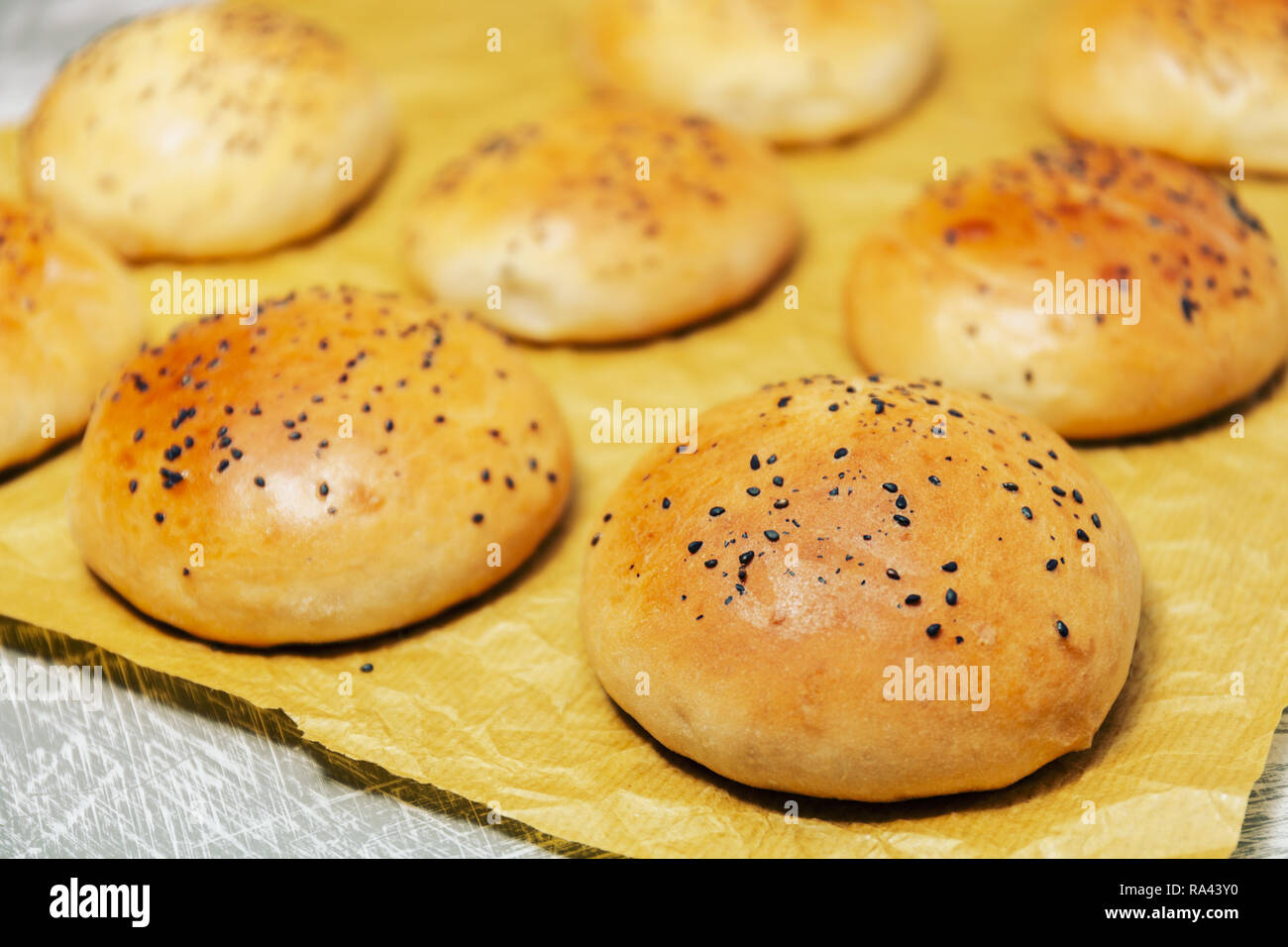Frisch gebackene Burger Brötchen mit schwarzem Sesam auf einem backpapier. Frisch aus dem Ofen. Stockfoto