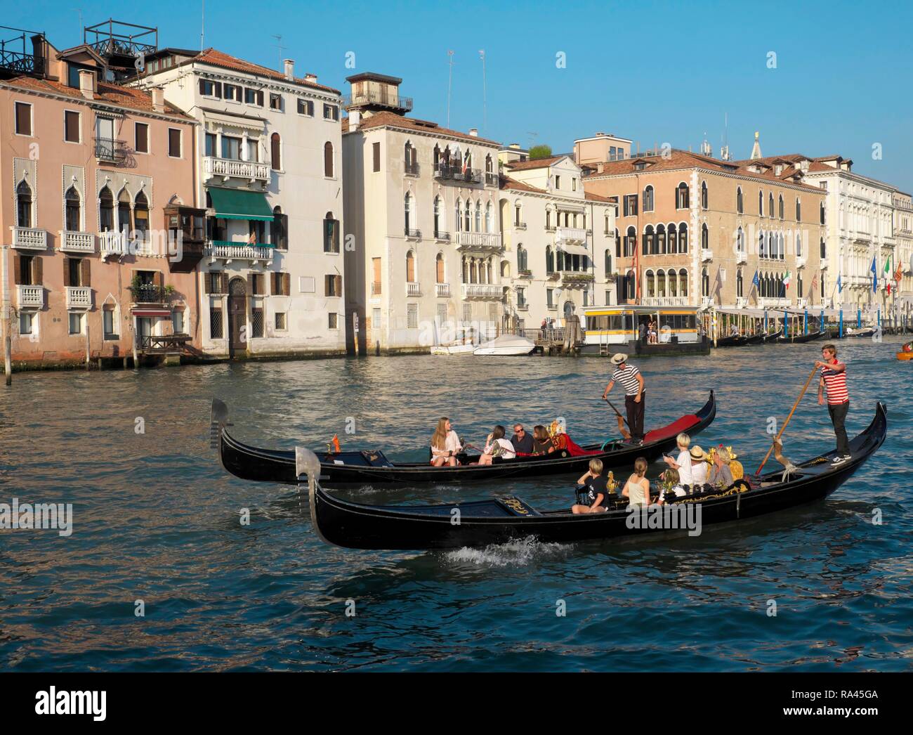 Gondeln auf dem Canal Grande, Venedig, Veneto, Italien Stockfoto