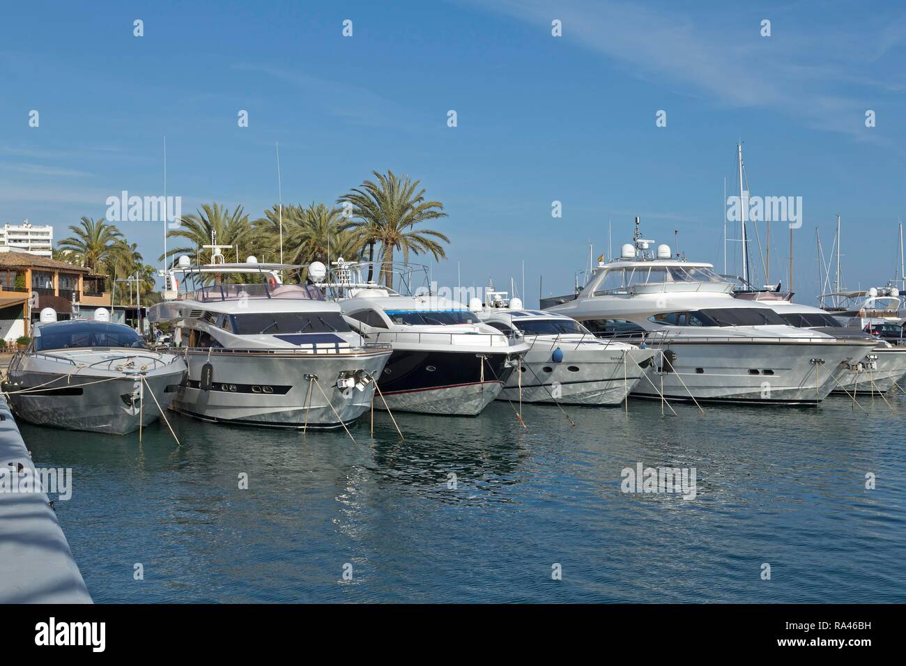 Marina, Portals Nous, Mallorca, Spanien Stockfoto