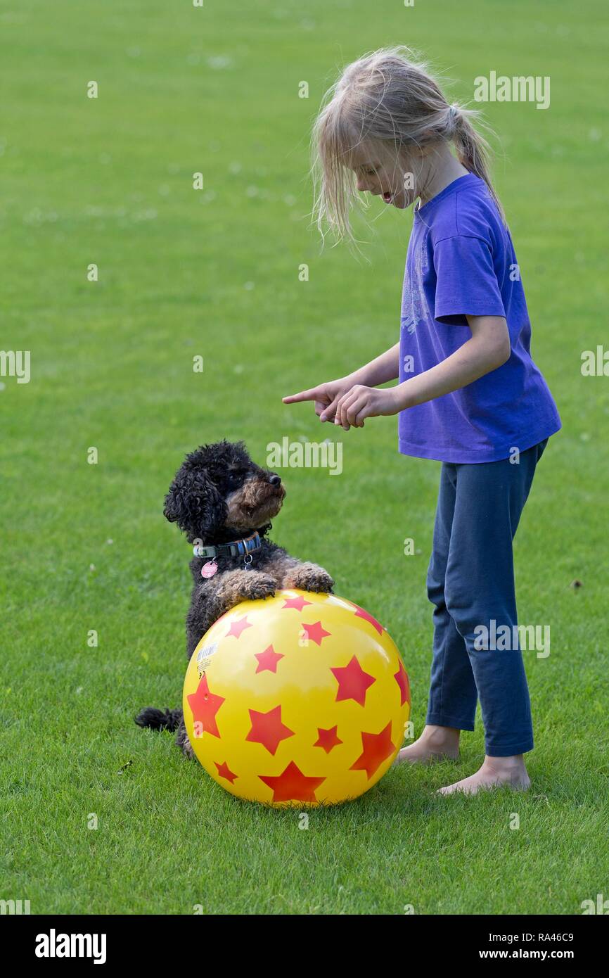 Kleines Mädchen Züge Hund, Deutschland Stockfoto