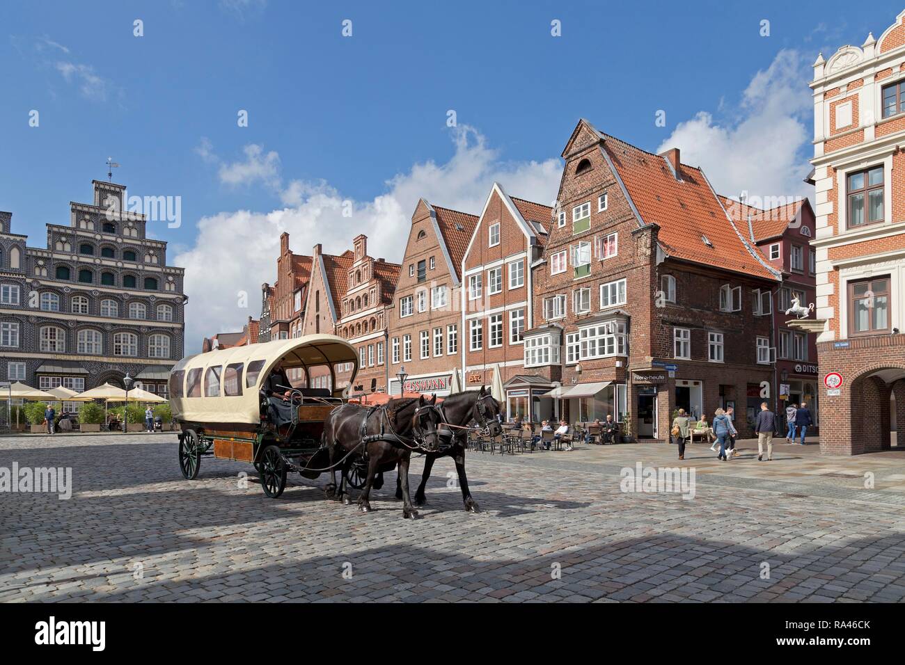 Pferdekutsche vor der Backsteinhäuser, Am Sande, Lüneburg, Niedersachsen, Deutschland Stockfoto