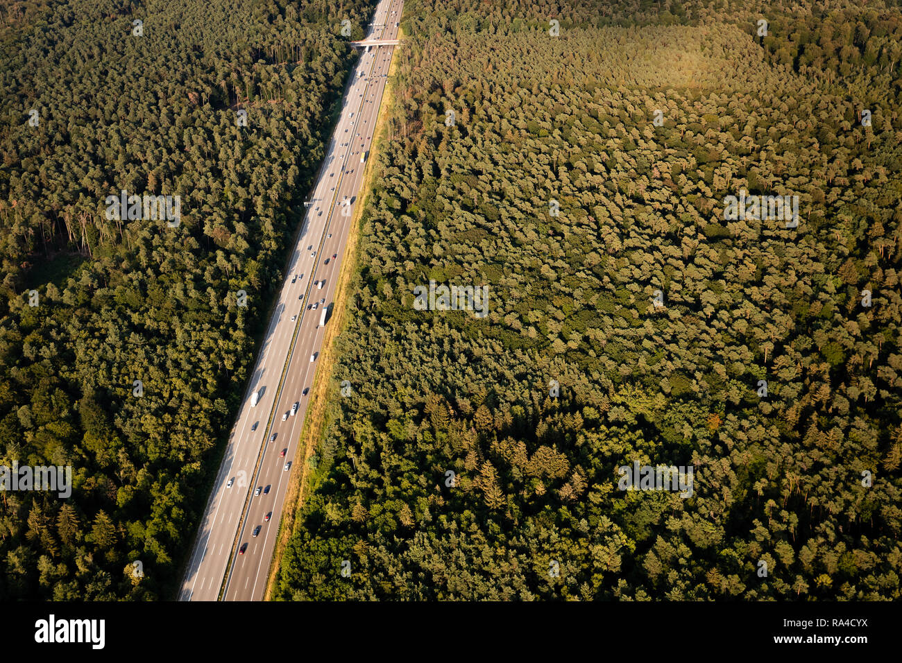 Antenne der mehrspurigen Autobahn Kreuzung städtischen Wald in der Nähe von Frankfurt und Deutschland, Autobahn A3 Highway, am späten Nachmittag, wenig Sonne. Stockfoto