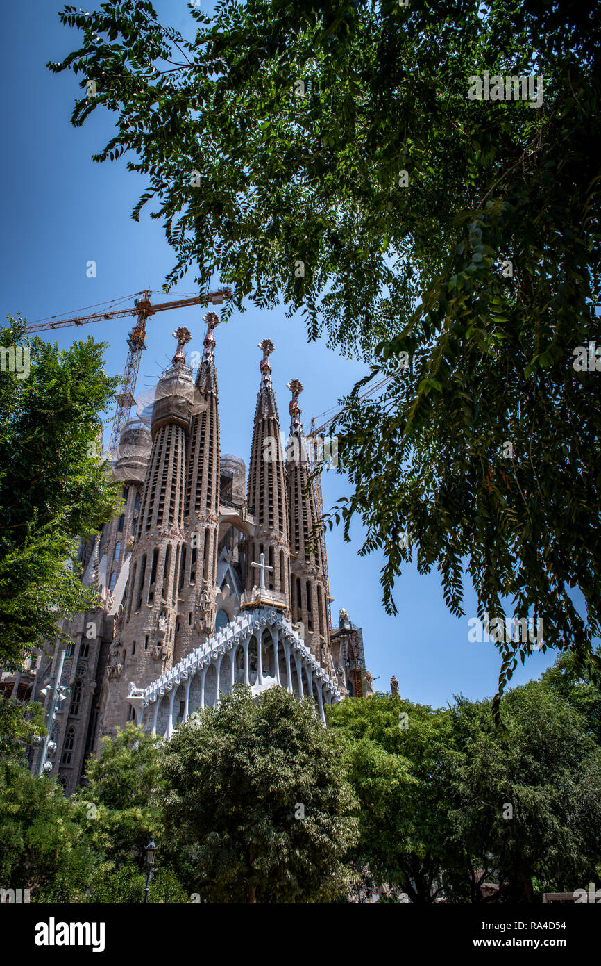 Fernblick über die Baumgrenze der Temple Expiatori de la Sagrada Familia, Barcelona, Spanien Stockfoto