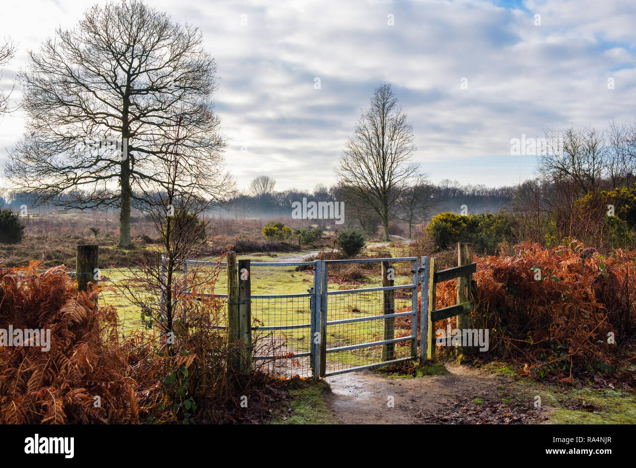 Gates auf Fußweg durch die Landschaft in Kent Wildlife Trust Naturschutzgebiet Heide im Winter. Hothfield Heide, Ashford, Kent, England, Großbritannien Stockfoto