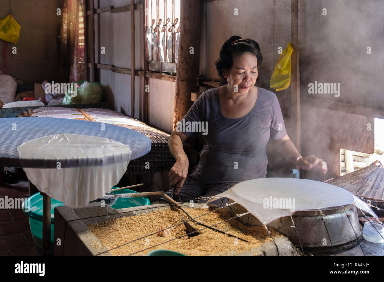 Vietnamesische Frau mit Reis Körner Reis papier wickelt in einer Schauwerkstatt. Cai, tiền Giang Provinz, Mekong Delta, Vietnam, Asien Stockfoto