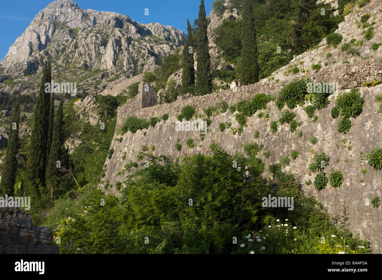 Touristen und Besucher den Weg und eine Treppe klettern auf den Zinnen der Burg und Festung über Kotor, Montenegro Stockfoto