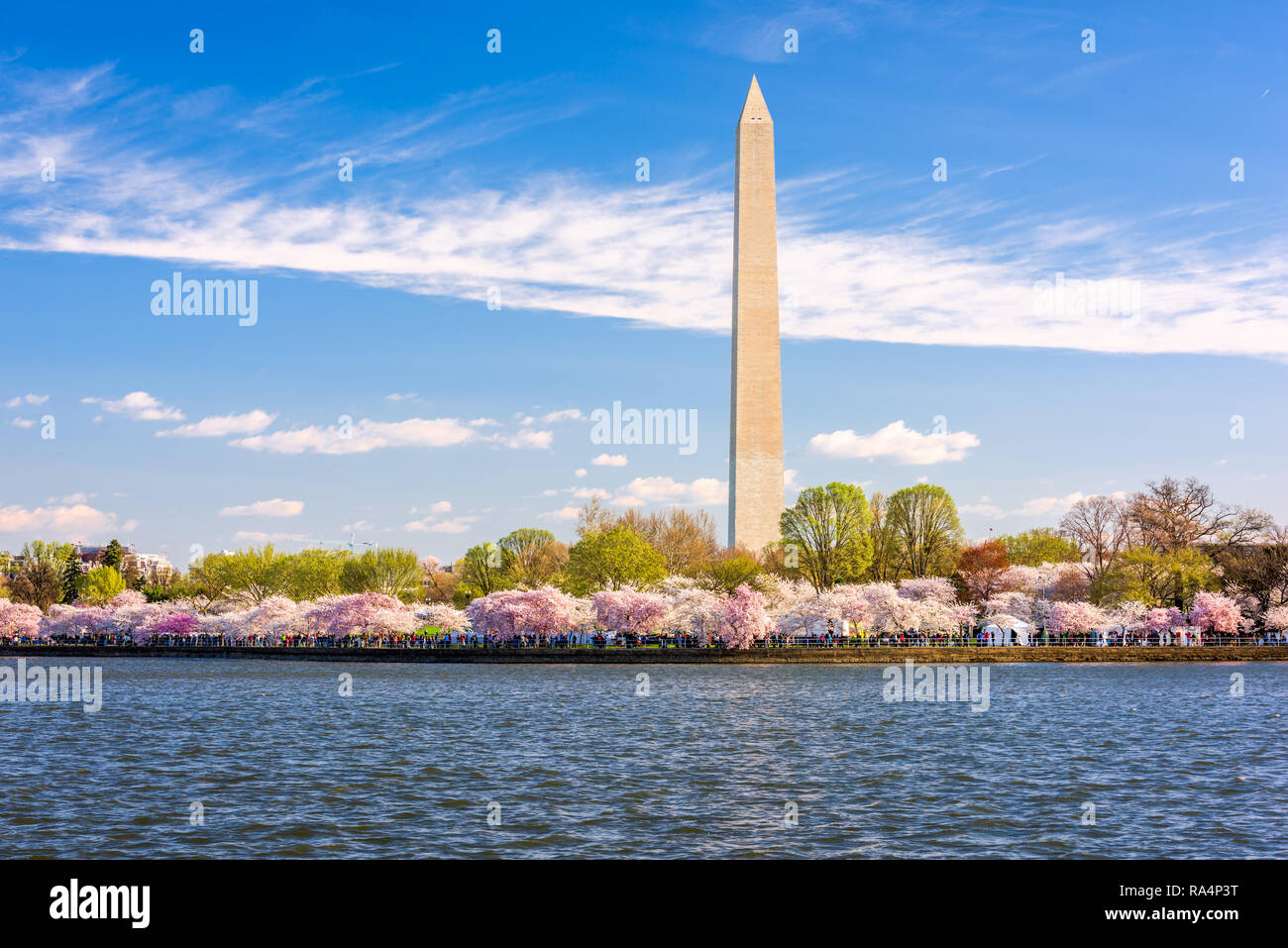 Washington DC, USA im Frühjahr Saison. Stockfoto