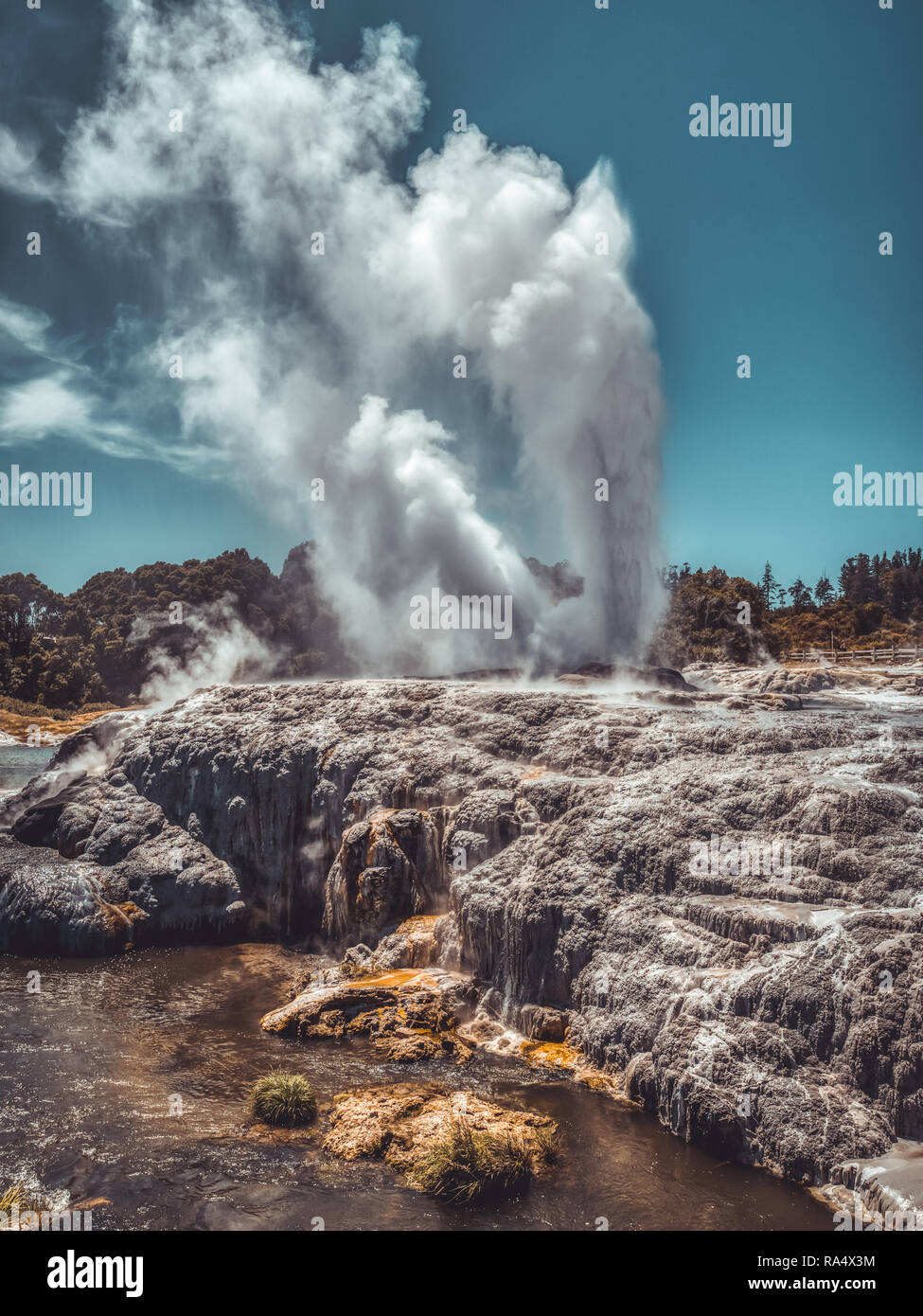 Geothermische Geysir vertikaldampf Brunnen gegen den klaren blauen Himmel, auf vulkanische Terrain in Neuseeland Stockfoto