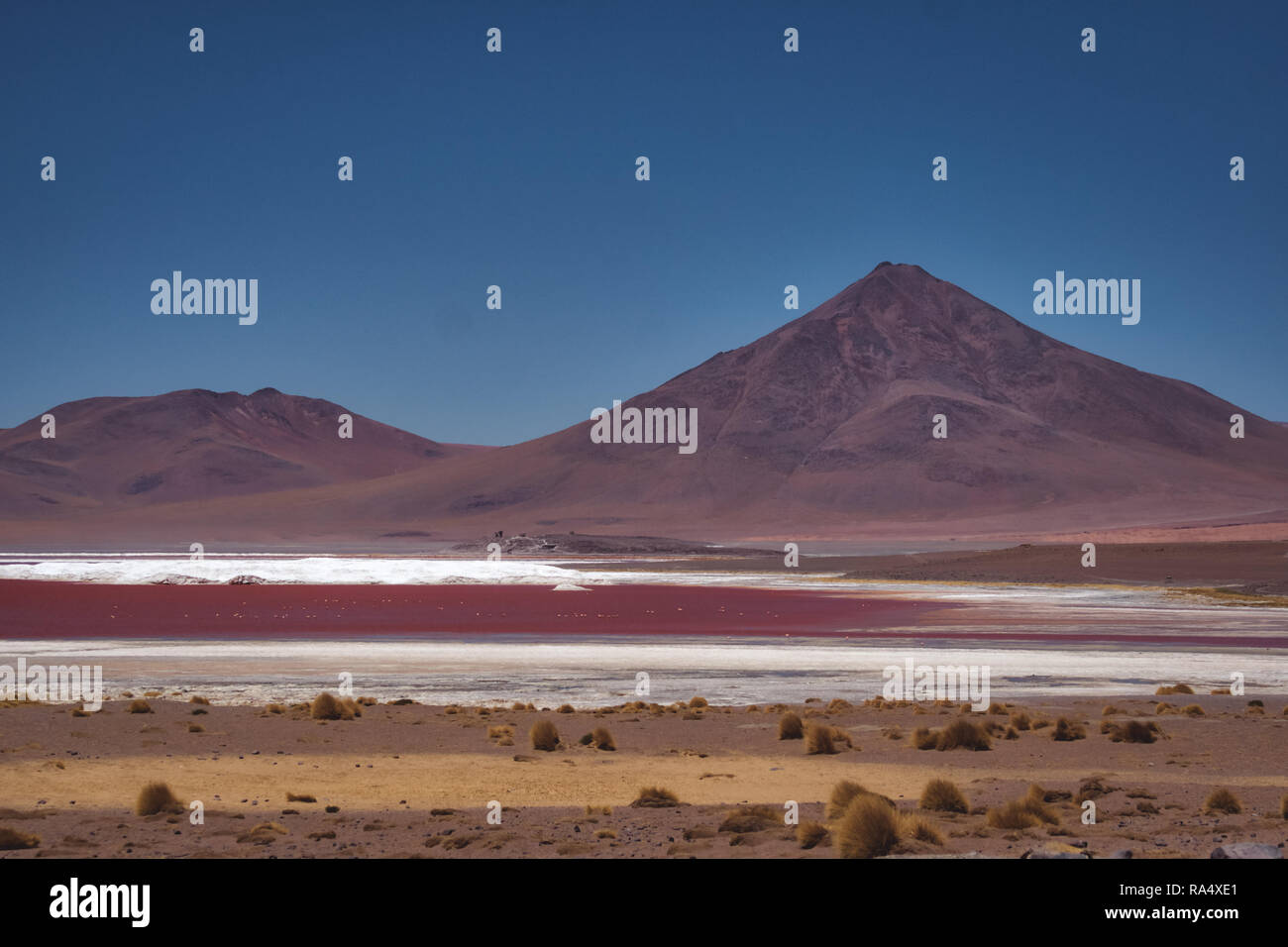 Bolivianischen Wüstenlandschaft des Salt Flats an Siloli mit Einlagen weißes, kristallines Salz durch Verdunstung des Wassers geformt Stockfoto